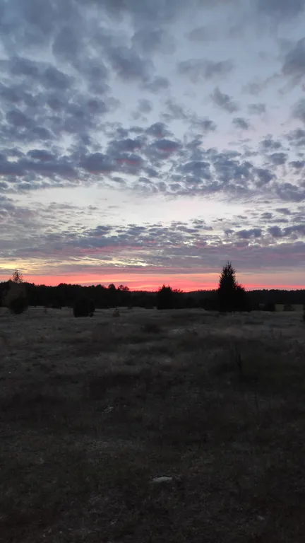 Шале Можжевеловое