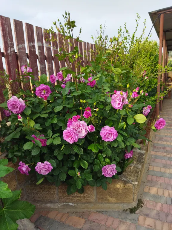 Уютная мансарда 35 м² в частном доме в 15 минутах ходьбы до моря