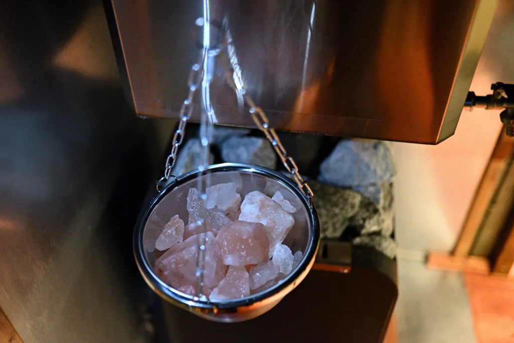 Роза Ветров