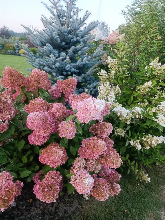 Уютный дом с сауной в черте города