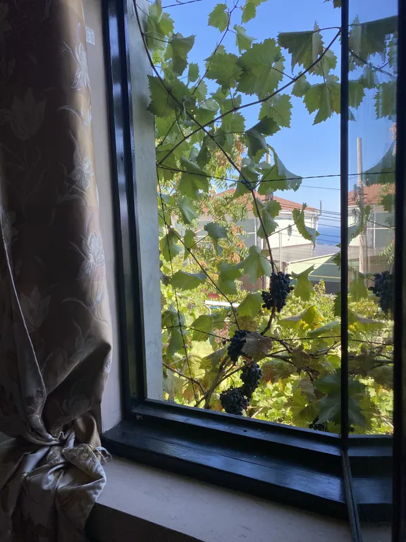 Комната в частном доме