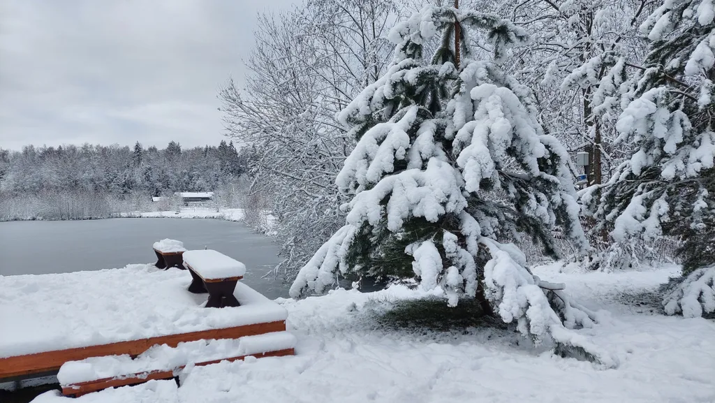 Коттедж Васнецово-озеро, дом на берегу озера у леса в Подоосковье — Ваньково