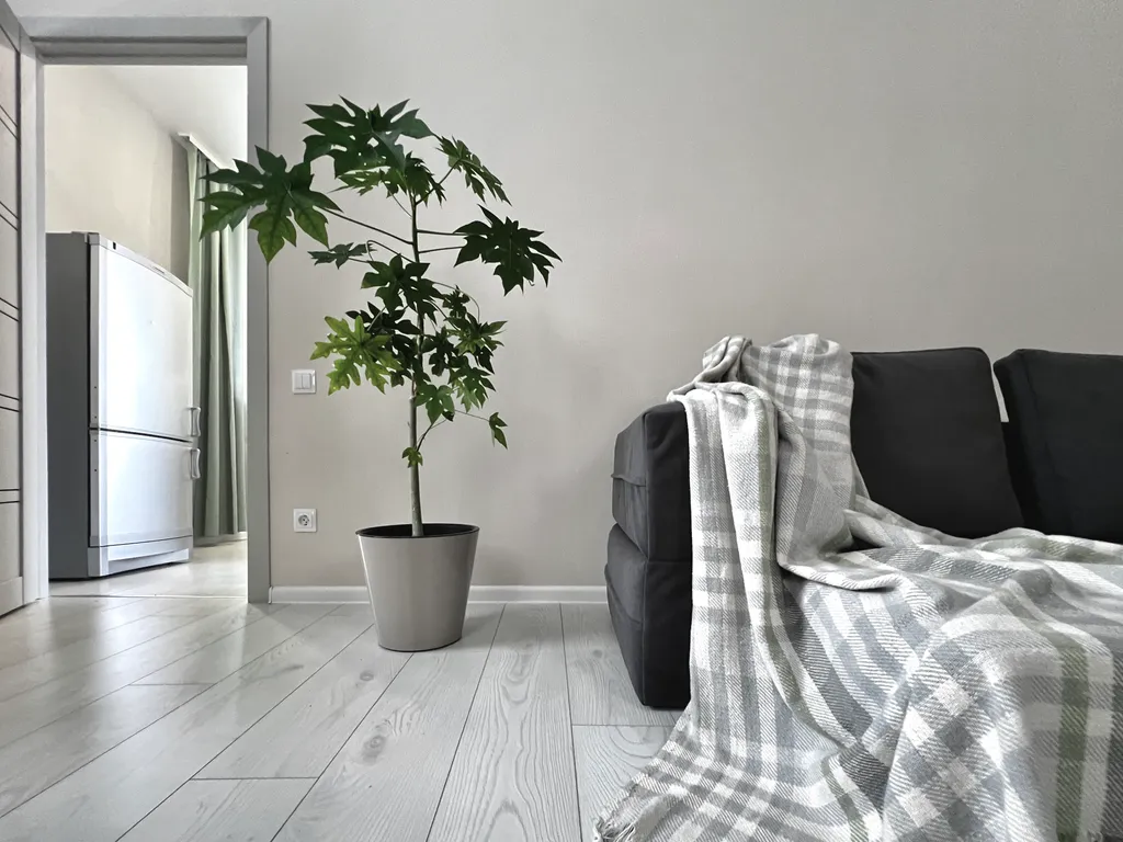 Дом в историческом центре города с прекрасным видом