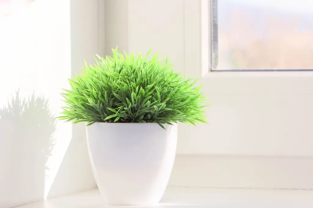 Квартира в центральном районе города