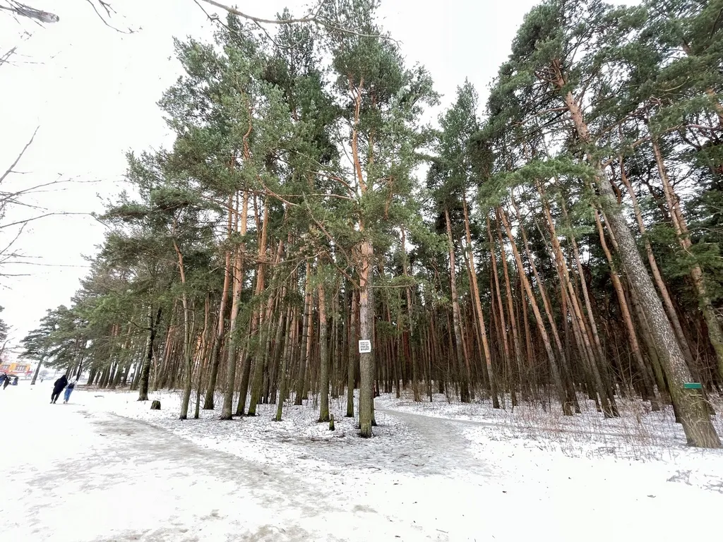 Уютная и яркая квартира с Sony PlayStation 4