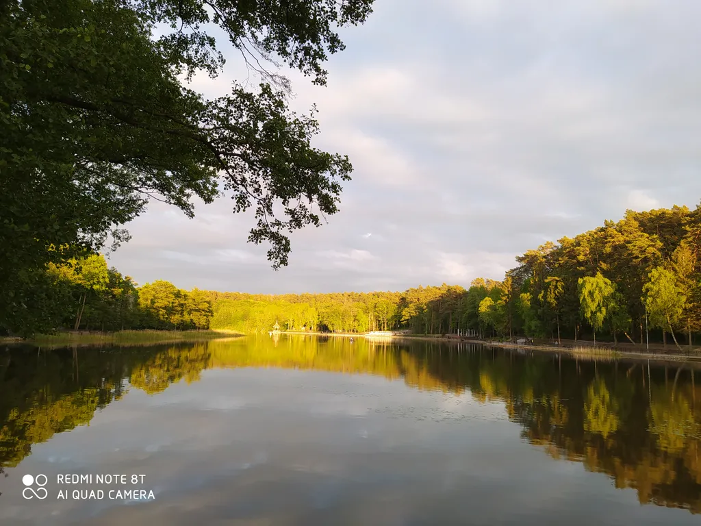 Квартира Уютная квартира с видом на лес — Светлогорск