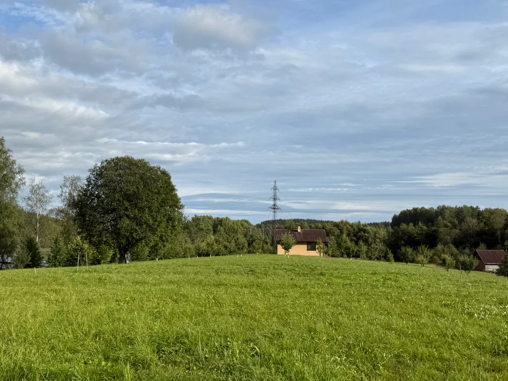 Домик в лесу с озером