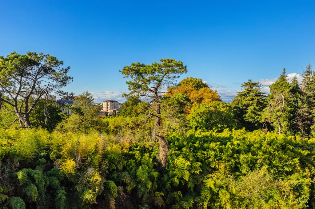 Квартира 1-комнатная Квартира — Сириус