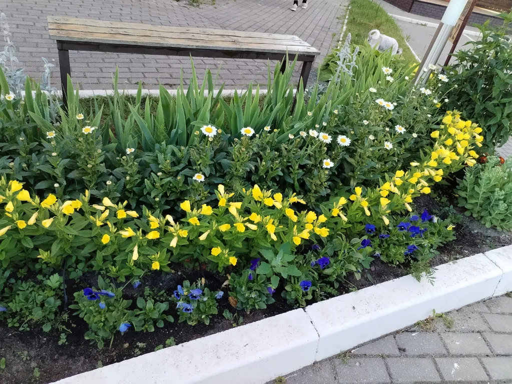 Ласточкино гнездо