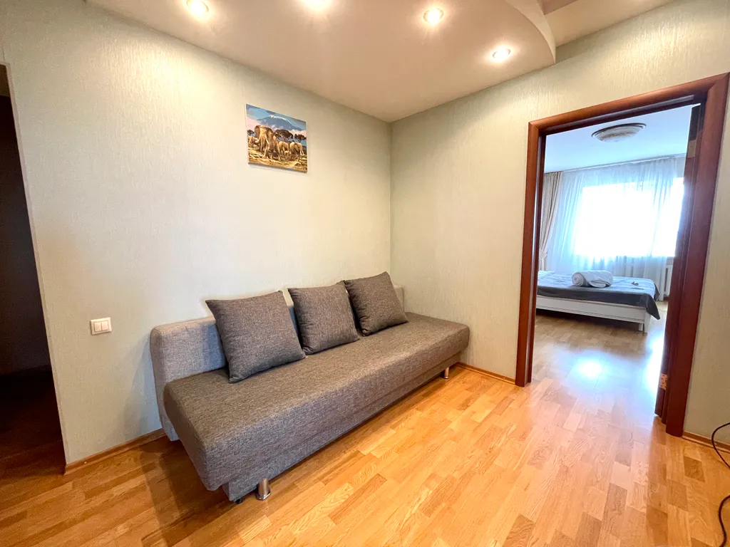 Большая квартира в центре города