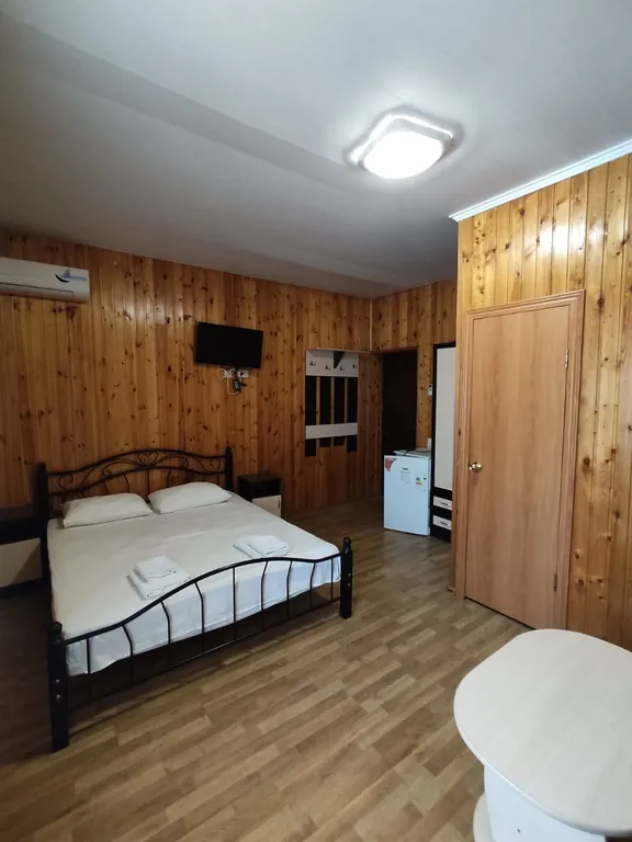 Семейный четырёхместный номер с видом на горы №6