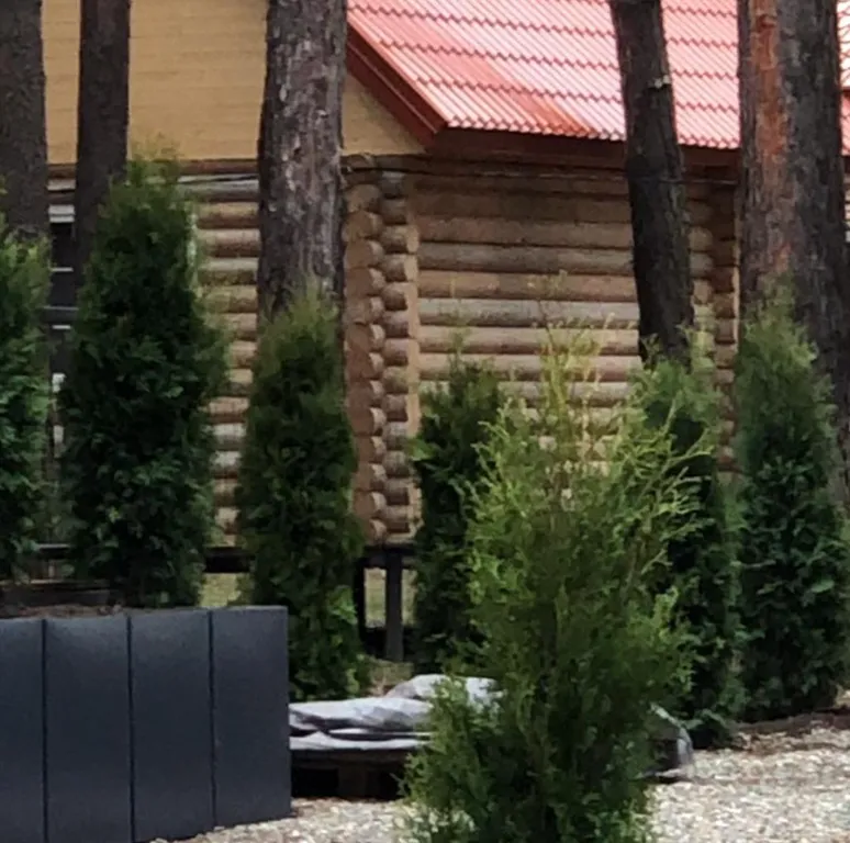 База отдыха Архыз Форест Эко