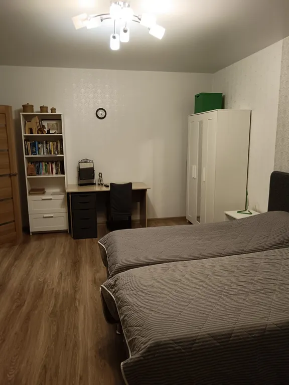 Квартира 1-комнатная Квартира — Луга