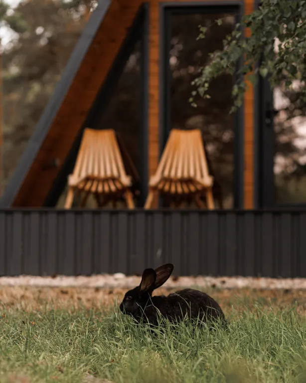 А-фрейм Ironwood