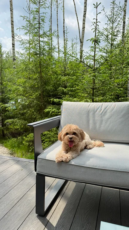 Коттедж Панорамный дом в окружении леса с сауной и чаном — Семеновское