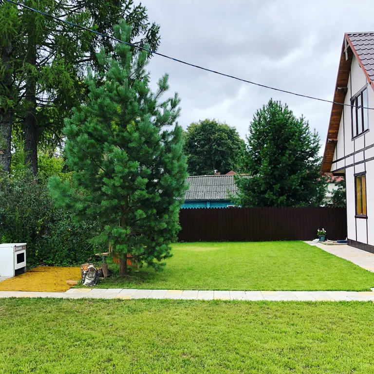 Хорошо на Волге