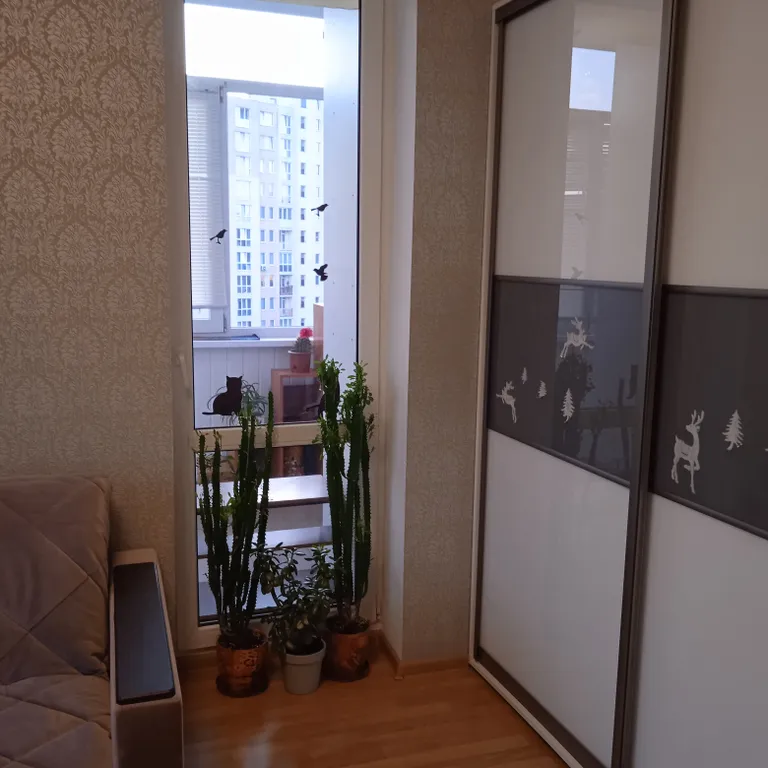 Квартира Уютная квартира — Калининград