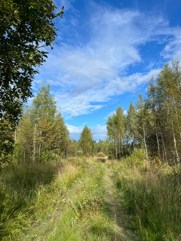 Ретритный дом