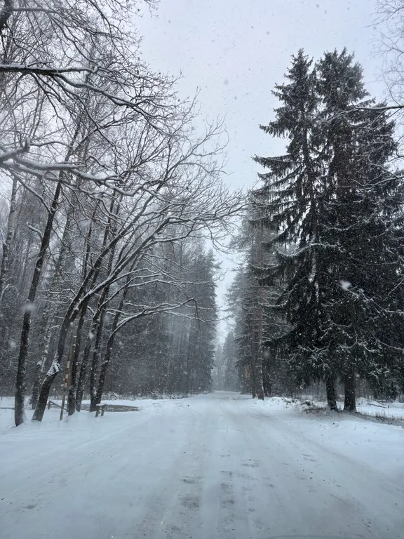 Шикарный дом в скандинавском стиле со всеми удобствами