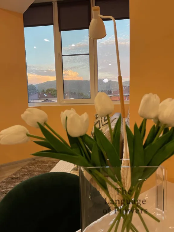 Апартаменты с видом на горы три минуты до моря