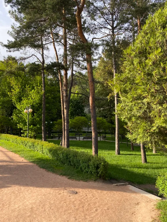 Лесная сказка