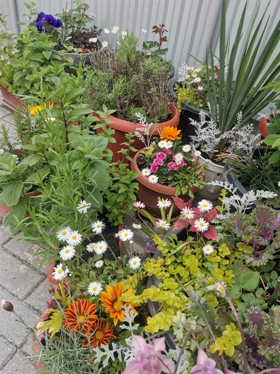 Коттедж Гостевой дом с видом на горы — Кисловодск