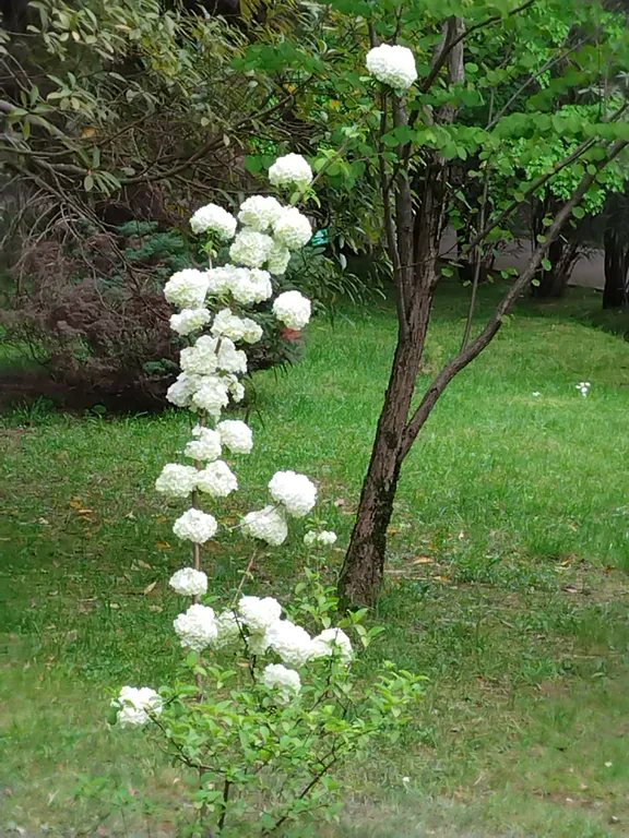 Квартира Квартира у моря в Сочи — Адлер