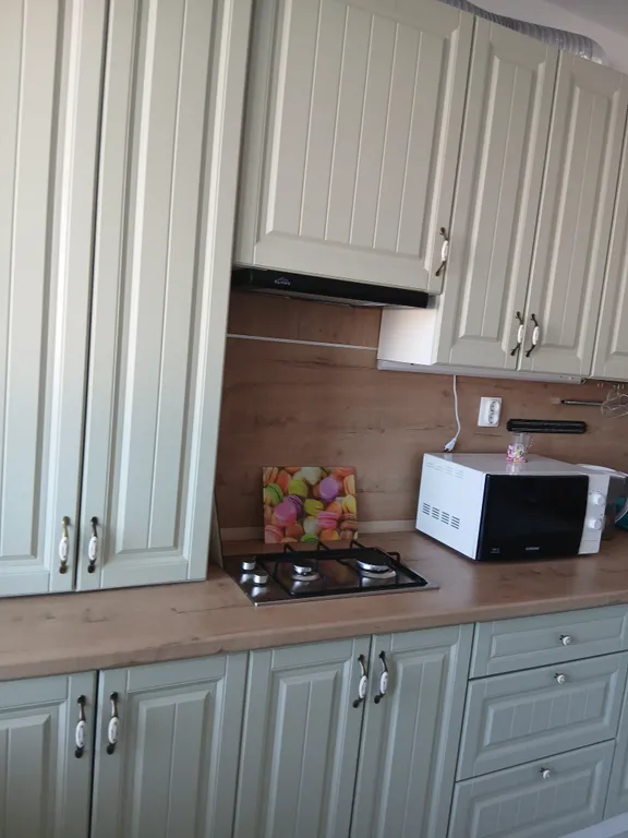 Квартира Уютная, свeтлая однокомнатная квартира — Светлогорск