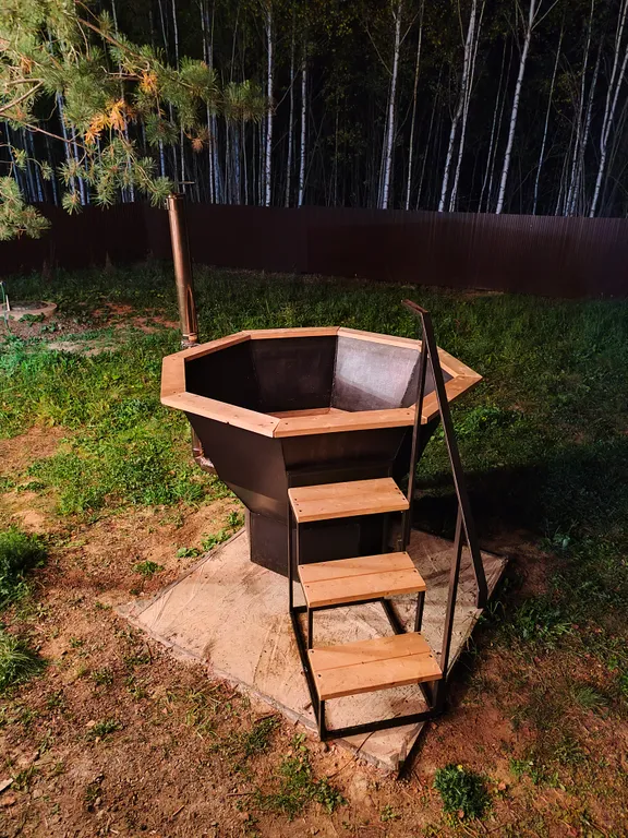 Домик в Кривой Шелокше