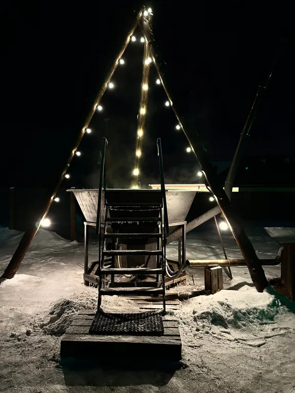 Дом на двоих Космос