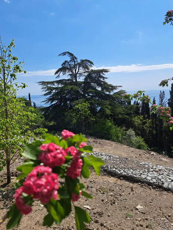 Апартамент Ялтинские ночи