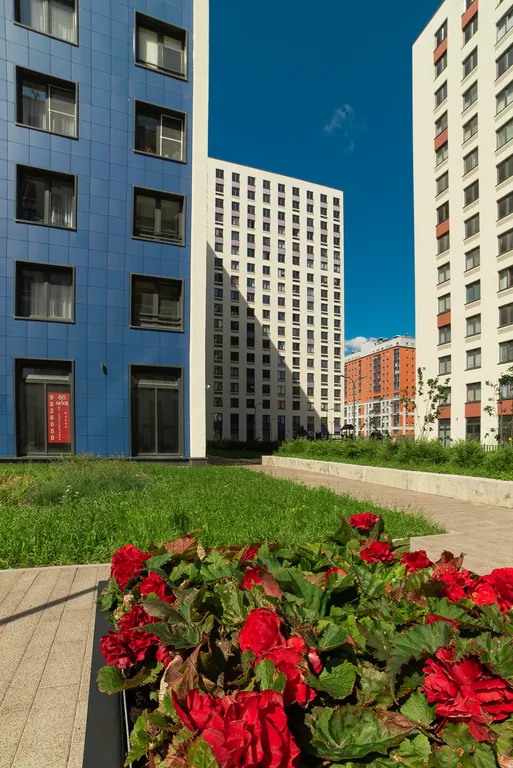 Новая уютная квартира в центре города