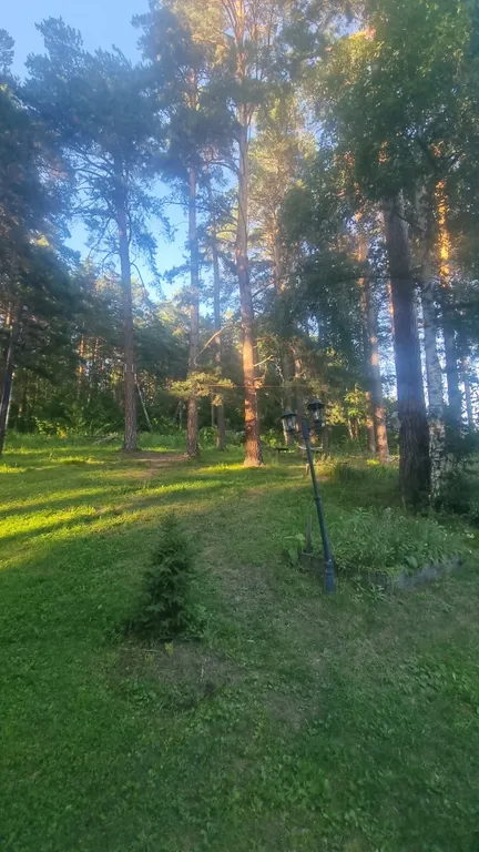 Уютный Дом в Лесу в Аникино