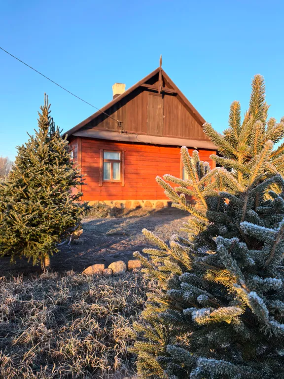 Коттедж Домик-музей в Беловежской Пуще Беловежская светлица с печью и огнем — аренда посуточно в Осинники