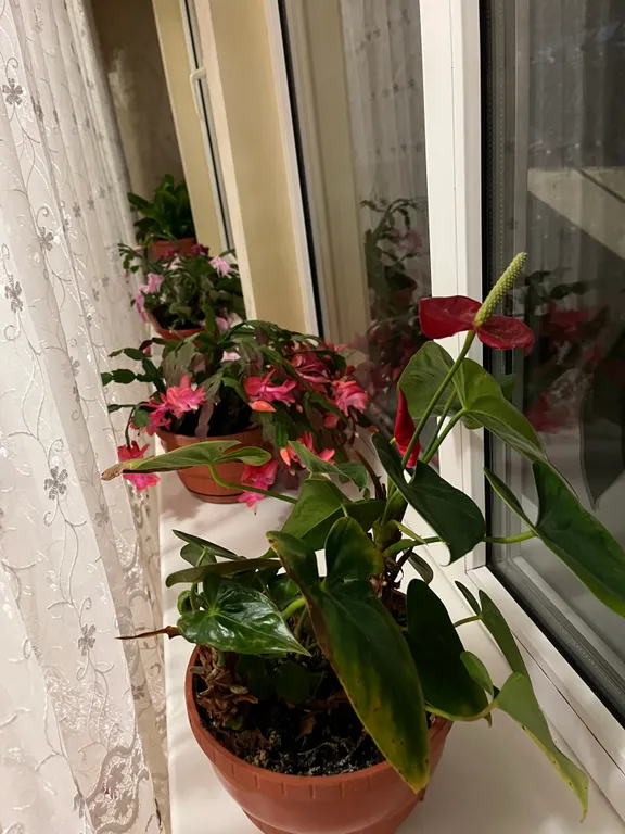 Коттедж Дом рядом с парком — Кисловодск