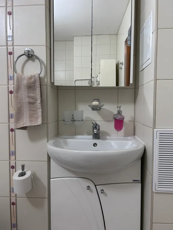 Уютная однокомнатная квартира в центре города