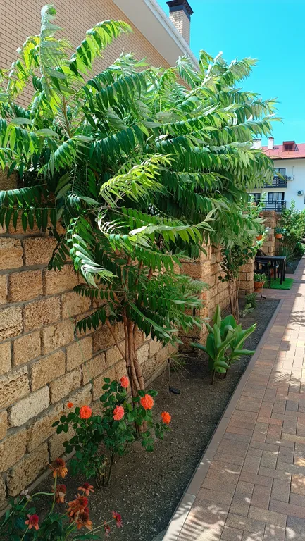 Двухуровневые апартаменты "шоколад"