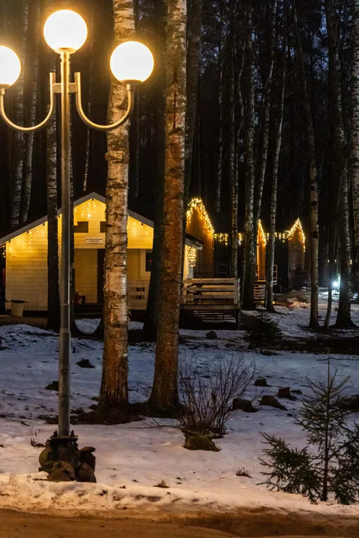 Малый коттедж у леса