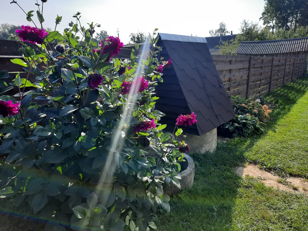 Усадьба со всеми удобствами