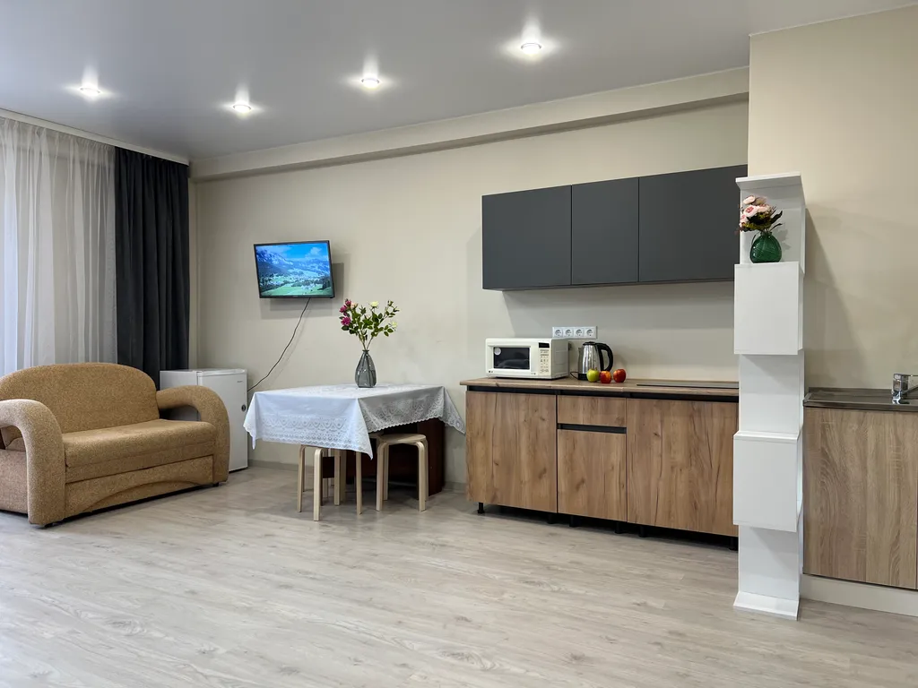 Студия у Городской поликлиники №3, не берем оплату за финальную уборку