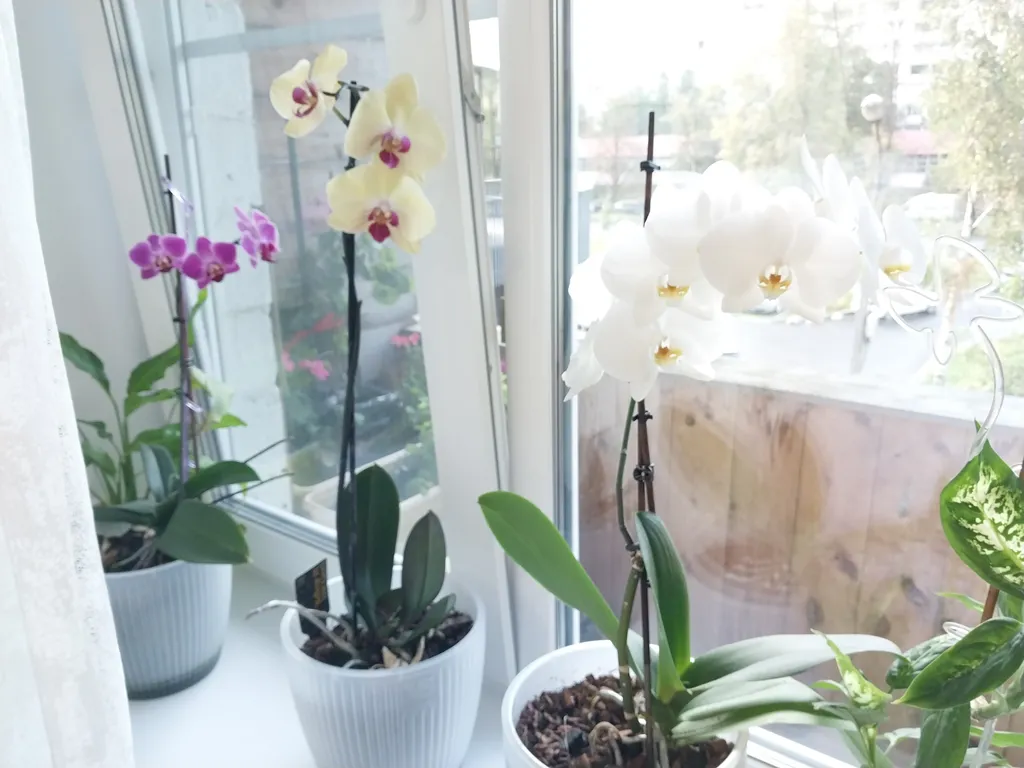 Уют для туриста от России до Греции