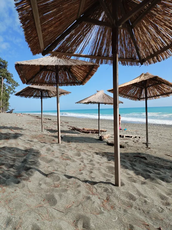 Коттедж в заповеднике