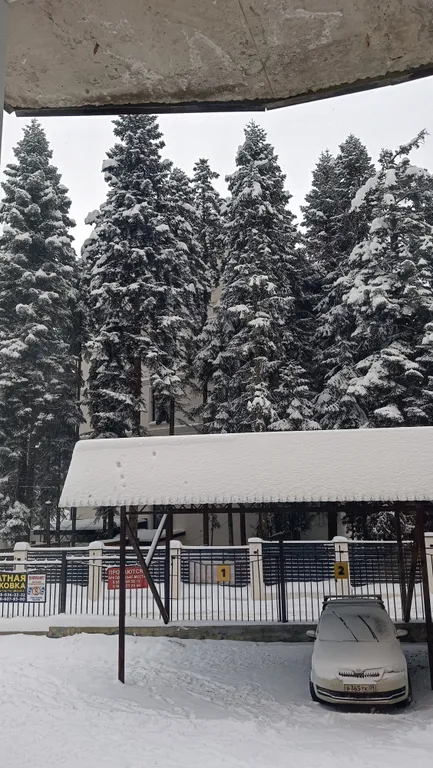 Квартира в Домбае