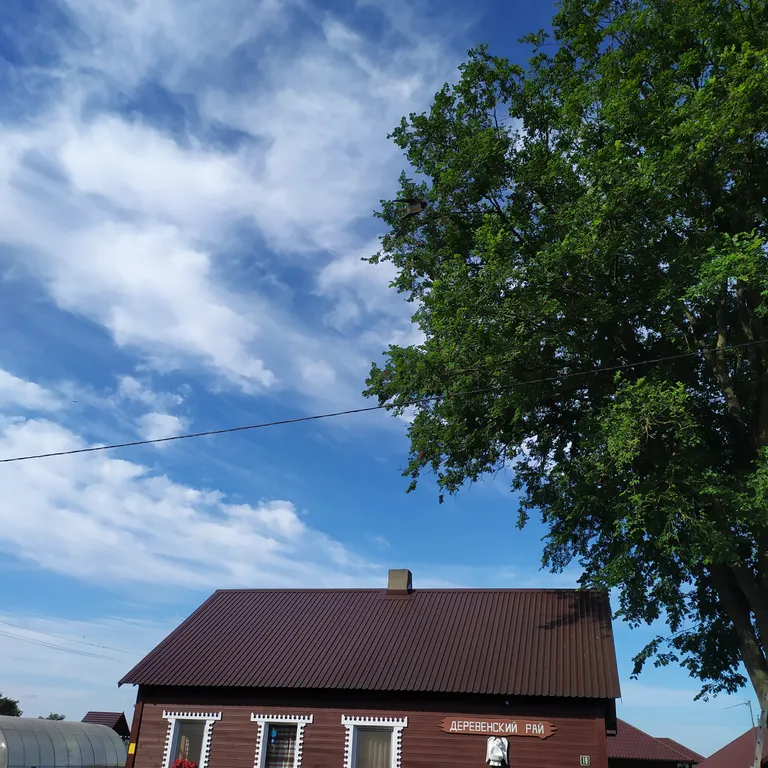 Усадьба Деревенский рай в Беловежской пуще