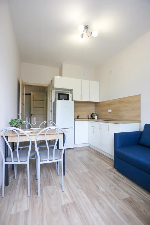 Стильная однокомнатная квартира