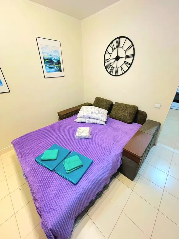 Уютная квартира — аренда посуточно в Хабаровск