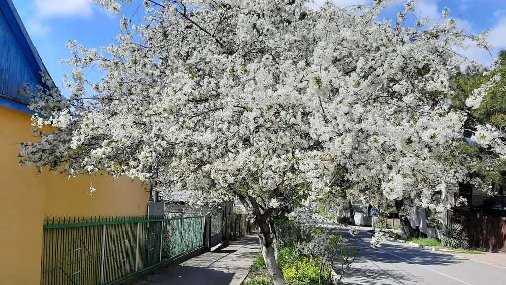 Квартира Квартира на Толстом Мысу между бухтой и открытым морем — Геленджик