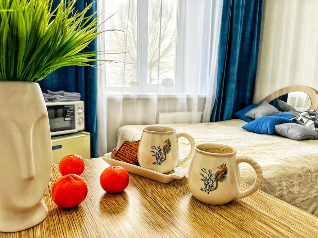 Уютная квартира с видом на Волгу — аренда посуточно в Саратов