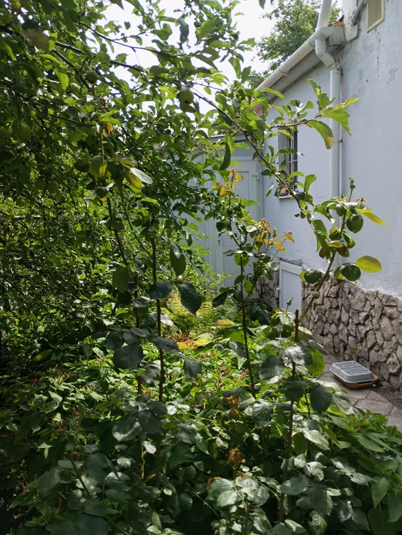 Отдельный двухкомнатный номер