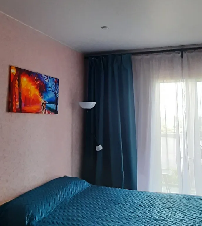 Апартамент с шикарным видом на Волхов